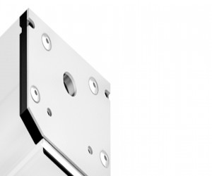 GL3622 WH белый заглушка для корпуса в натяжной потолок для магнитного шинопровода (2шт)