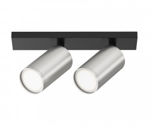 Потолочный светильник Technical C051CL-U-02BS