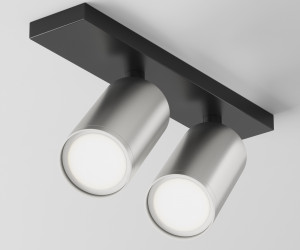 Потолочный светильник Technical C051CL-U-02BS