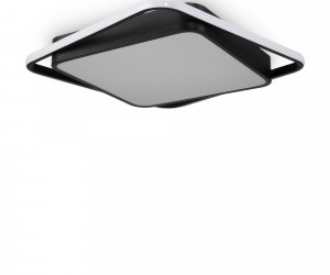 Потолочный светильник Freya FR10030CL-L88B