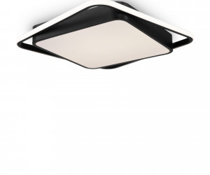 Потолочный светильник Freya FR10030CL-L88B