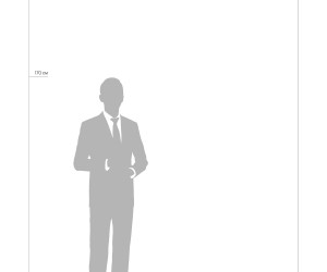 Потолочный светильник Freya FR10028CL-L80W