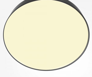 Потолочный светильник Technical C032CL-45W2.7K-RD-B