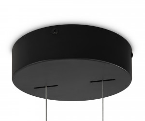 Подвесной светильник Maytoni MOD163PL-L38B4K