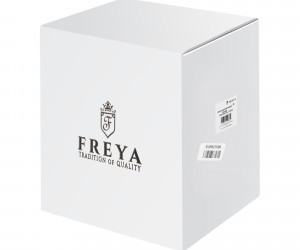 Настольный светильник Freya FR6104TL-L22G