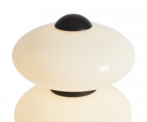 Напольный светильник (торшер) Freya FR5553FL-L20B