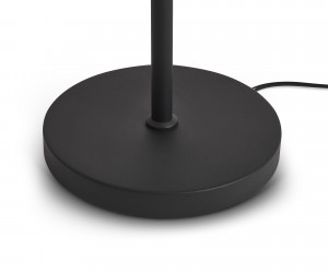 Напольный светильник (торшер) Freya FR5553FL-L20B