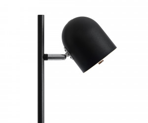 Напольный светильник (торшер) Freya FR5279FL-L7B