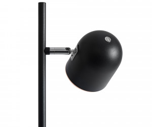 Напольный светильник (торшер) Freya FR5279FL-L7B