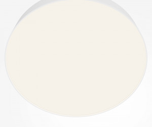 Потолочный светильник Technical C032CL-45W4K-RD-W