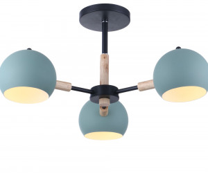 Потолочный светильник Freya FR5032CL-03B