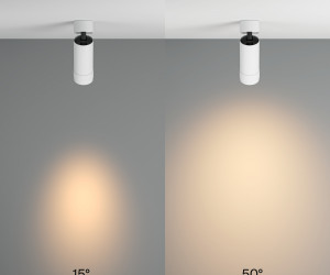 Потолочный светильник Technical C055CL-L12W3K-Z-W