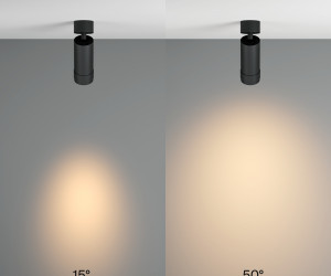 Потолочный светильник Technical C055CL-L12W3K-Z-B