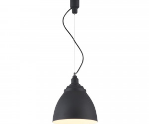 Подвесной светильник Maytoni P534PL-01B