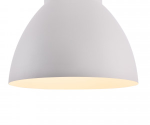 Подвесной светильник Maytoni P535PL-01W