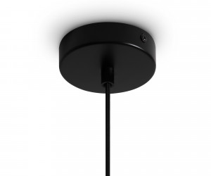 Подвесной светильник Freya FR5582PL-01GF