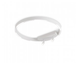 FL5807/1+2 WH белый 40W 3000K/4200K/6400K D600*95 (без ПДУ)