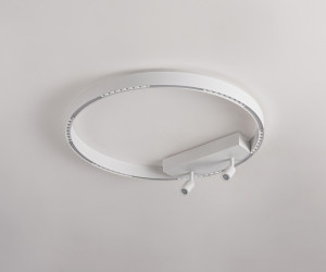 FL5807/1+2 WH белый 40W 3000K/4200K/6400K D600*95 (без ПДУ)