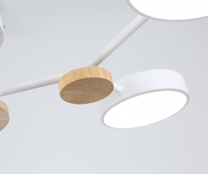 FL4858/4 WH/WD белый/дерево 60W 3000-6000K 700*400*120 (без ПДУ)