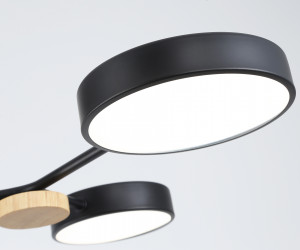 FL4860/4 BK/WD черный/дерево 60W 3000-6000K 700*400*120 (без ПДУ)