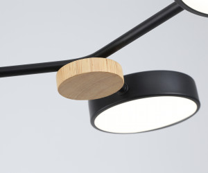 FL4860/4 BK/WD черный/дерево 60W 3000-6000K 700*400*120 (без ПДУ)