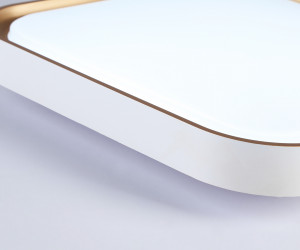 FZ1253 WH/GD белый/золото 18W 5000K 250*250*60 (Без ПДУ)