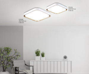 FZ1253 WH/GD белый/золото 18W 5000K 250*250*60 (Без ПДУ)