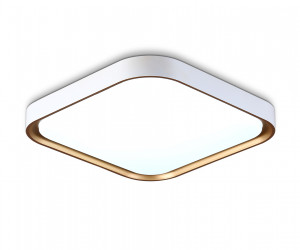 FZ1253 WH/GD белый/золото 18W 5000K 250*250*60 (Без ПДУ)