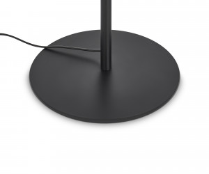 Напольный светильник (торшер) Freya FR5435FL-03B