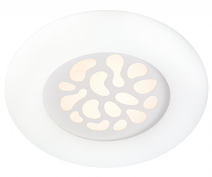 Настенно-потолочный светильник 1171-500 105W WT 000024985