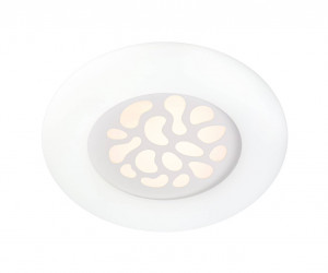 Настенно-потолочный светильник 1171-500 105W WT 000024985