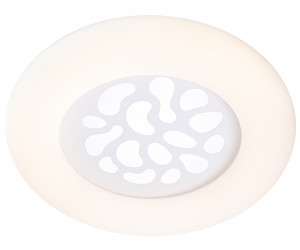 Настенно-потолочный светильник 1171-500 105W WT 000024985