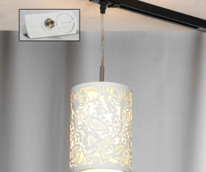 Трековый светильник LSF-2306-01-TAW