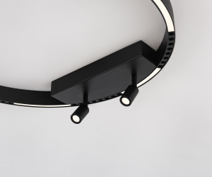 FL5808/1+2 BK черный 40W 3000K/4200K/6400K D600*95 (без ПДУ)