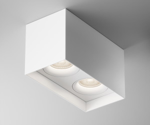 Потолочный светильник Technical C015CL-02W