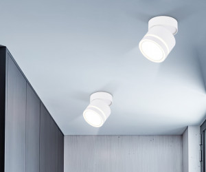 TA1444 WH/FR белый/белый матовый GX53 max 12W D85*90