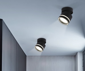 TA1445 BK/FR черный/белый матовый GX53 max 12W D85*90