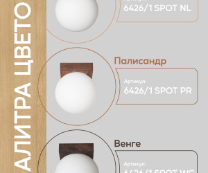 Потолочный светильник 6426-1SP PR 000036820