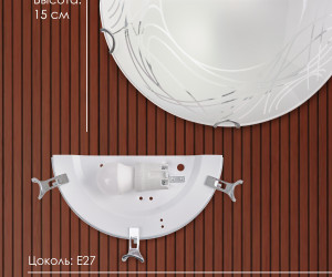 Настенный светильник R1005-HALF-1W-300 WT 000059672