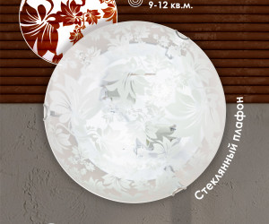 Настенно-потолочный светильник Snow White R1009-2W-300 WT 000059679