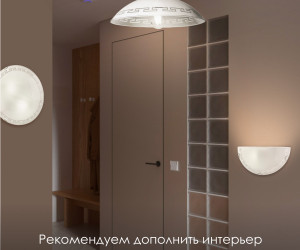 Настенный светильник R1016-HALF-1W-300 WT 000059694