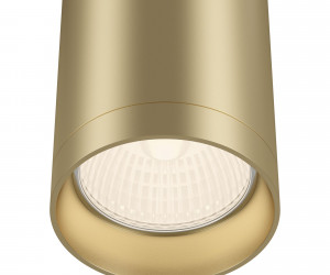 Потолочный светильник Technical C010CL-01MG