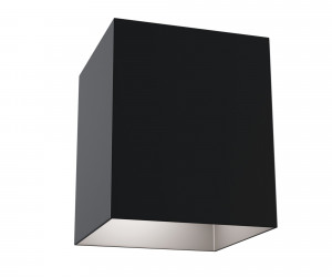 Потолочный светильник Technical C015CL-01B