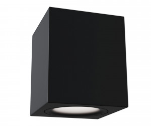 Потолочный светильник Technical C013CL-01B