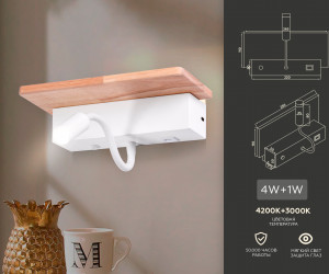 FW290 WH/LW белый/светлое дерево LED 4200K+3000K 4W+1W 265*110*130