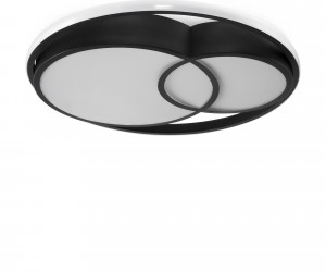 Потолочный светильник Freya FR10029CL-L70B