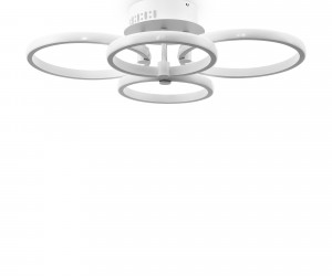 Потолочный светильник Freya FR10018CL-L40W