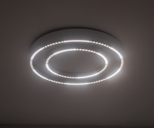 FL5821 WH белый 55W 3000K/4200K/6400K D600*75 (без ПДУ)