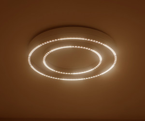 FL5821 WH белый 55W 3000K/4200K/6400K D600*75 (без ПДУ)