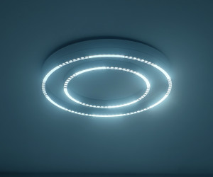 FL5821 WH белый 55W 3000K/4200K/6400K D600*75 (без ПДУ)